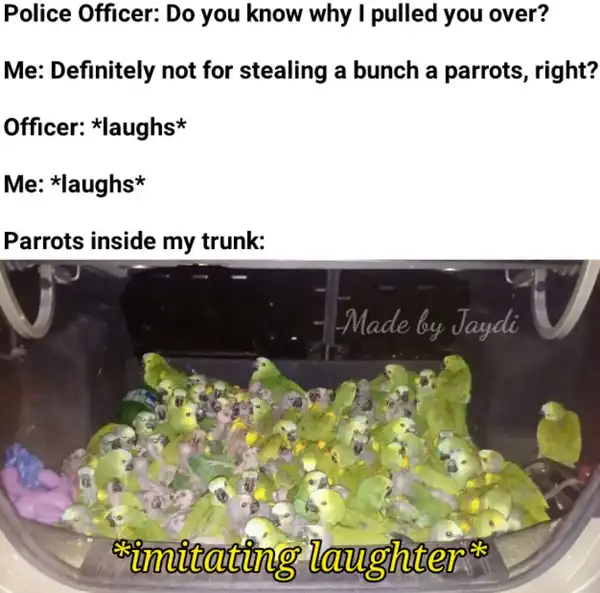 Current Meme