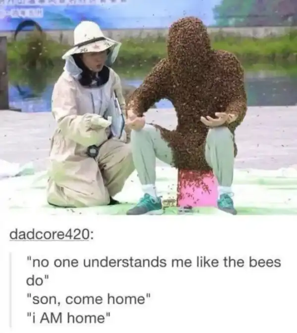 Current Meme