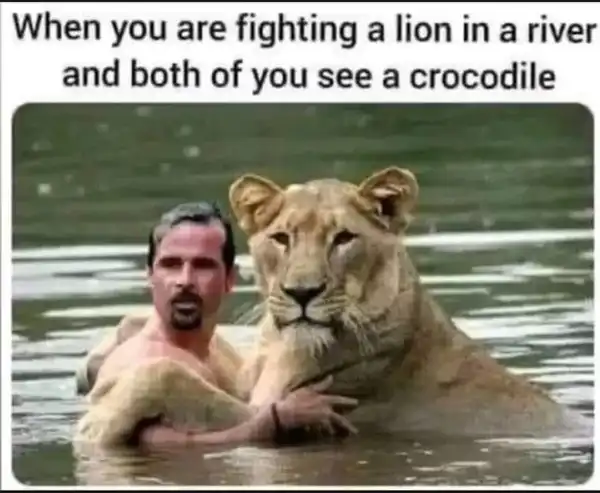Current Meme