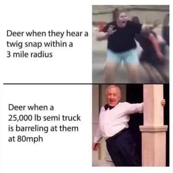 Current Meme