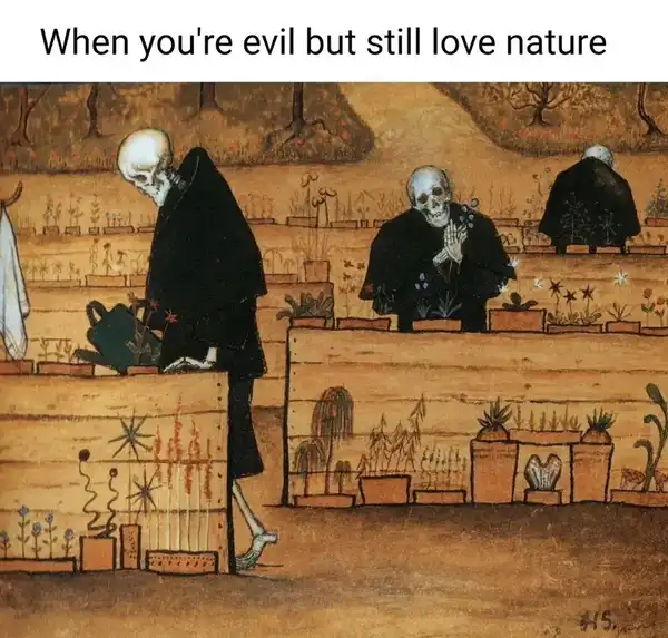 Current Meme