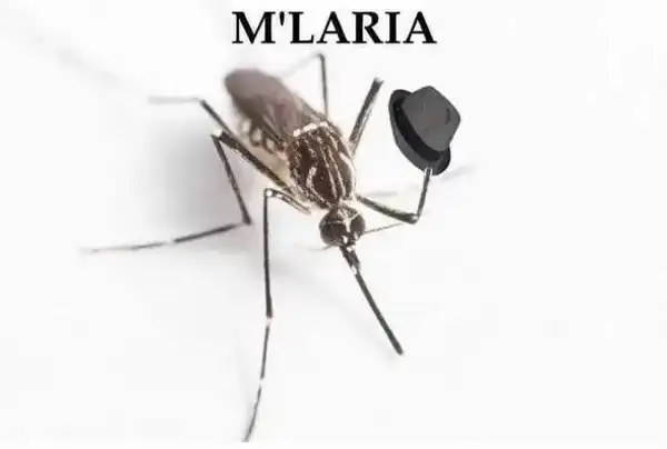 Current Meme