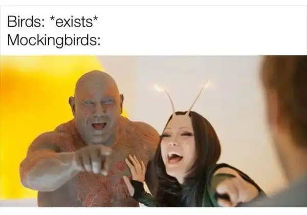 Current Meme