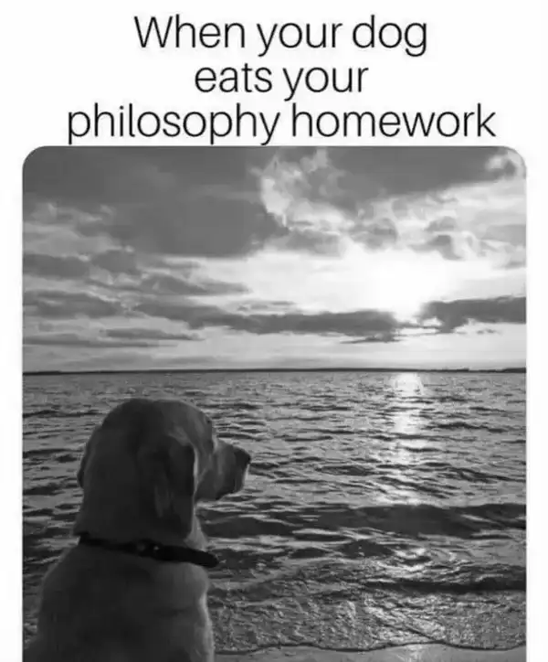 Current Meme