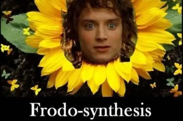 Current Meme