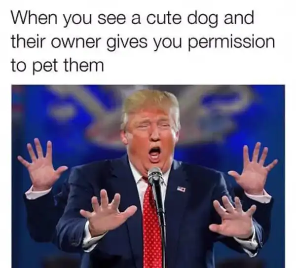 Current Meme