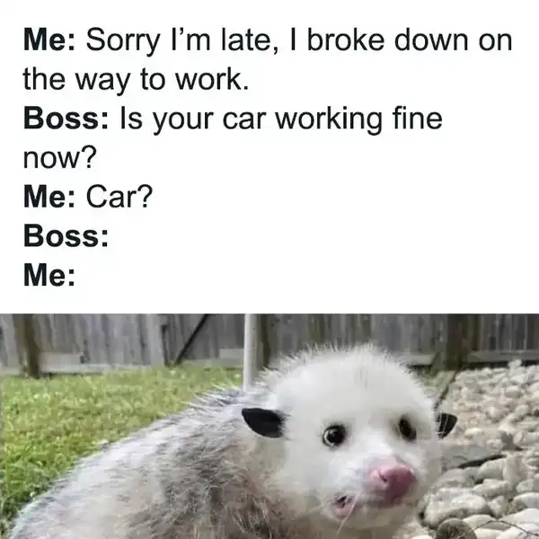 Current Meme